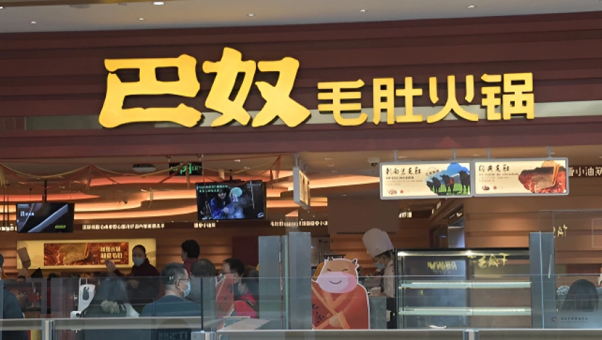 巴奴毛肚火锅冲刺上市：高端突围下的挑战与隐忧